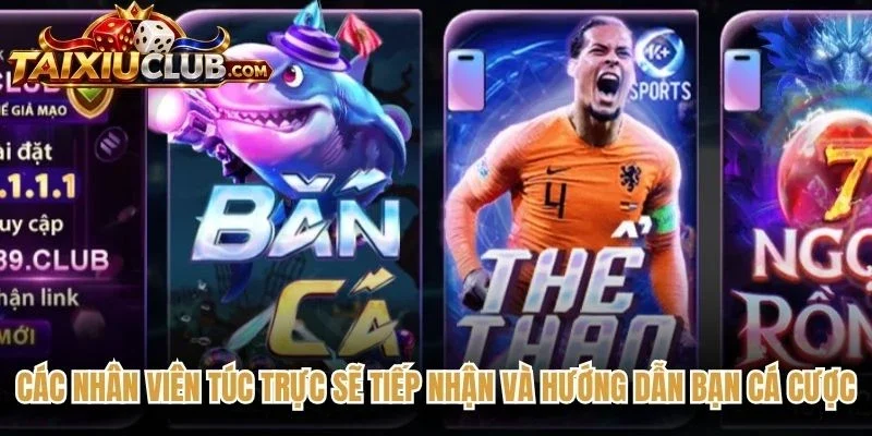 Các nhân viên túc trực sẽ tiếp nhận và hướng dẫn bạn cá cược online