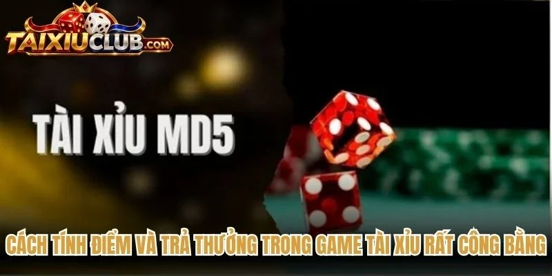 Cách tính điểm và trả thưởng trong game Tài Xỉu rất công bằng