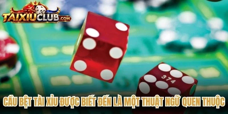 Cầu bệt Tài Xỉu được biết đến là một thuật ngữ quen thuộc nhất