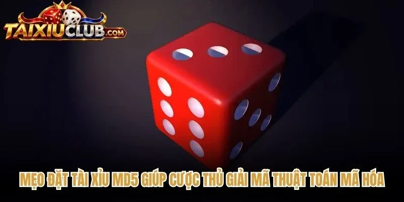 Mẹo đặt Tài Xỉu MD5 giúp cược thủ giải mã thuật toán mã hóa