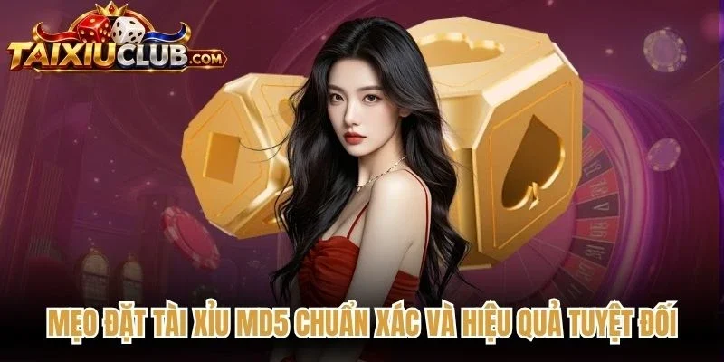 Mẹo Đặt Tài Xỉu MD5