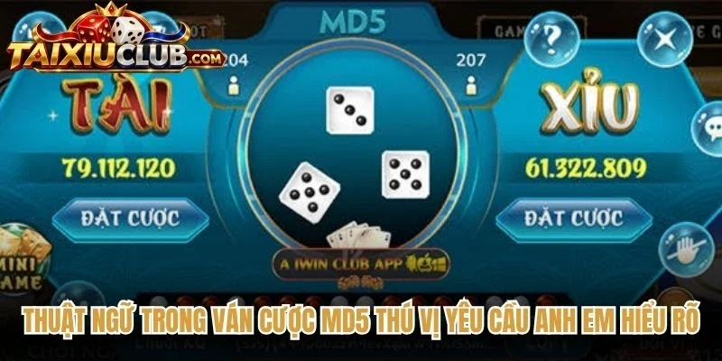 Thuật ngữ trong ván cược MD5 thú vị yêu cầu anh em hiểu rõ
